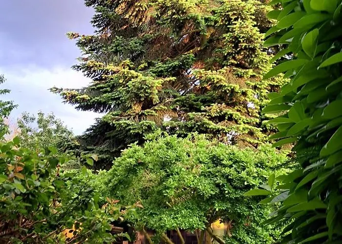 Apartment All-in-one Mit Eigener Sonnenterrasse Im Garten *