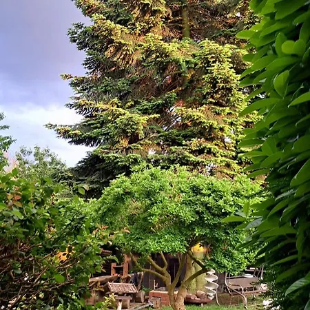 شقة All-in-one Mit Eigener Sonnenterrasse Im Garten *