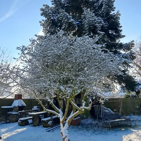 شقة All-in-one Mit Eigener Sonnenterrasse Im Garten *