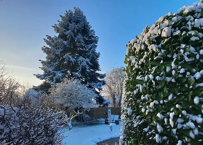 All-in-one Mit Eigener Sonnenterrasse Im Garten *
