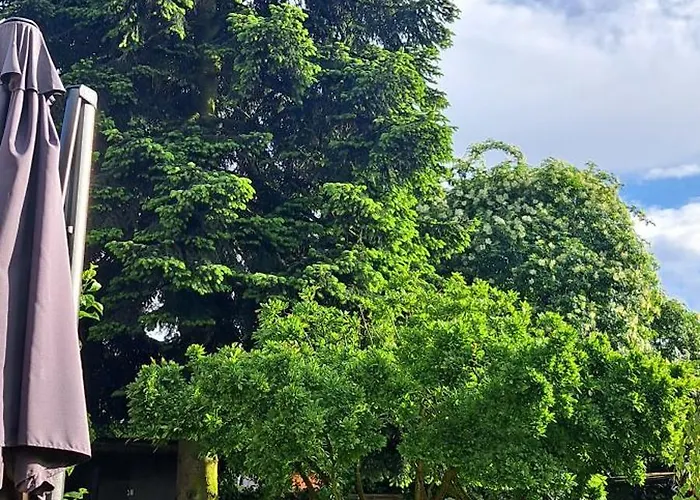 All-in-one Mit Eigener Sonnenterrasse Im Garten Düsseldorf