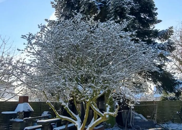 Lejlighed All-in-one Mit Eigener Sonnenterrasse Im Garten *