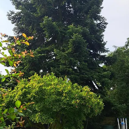 All-in-one Mit Eigener Sonnenterrasse Im Garten