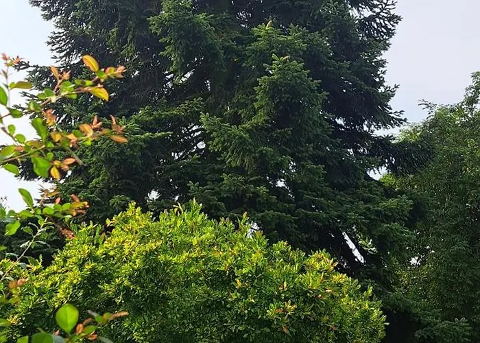 All-in-one Mit Eigener Sonnenterrasse Im Garten